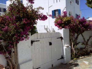 Naoussa Paros apartments